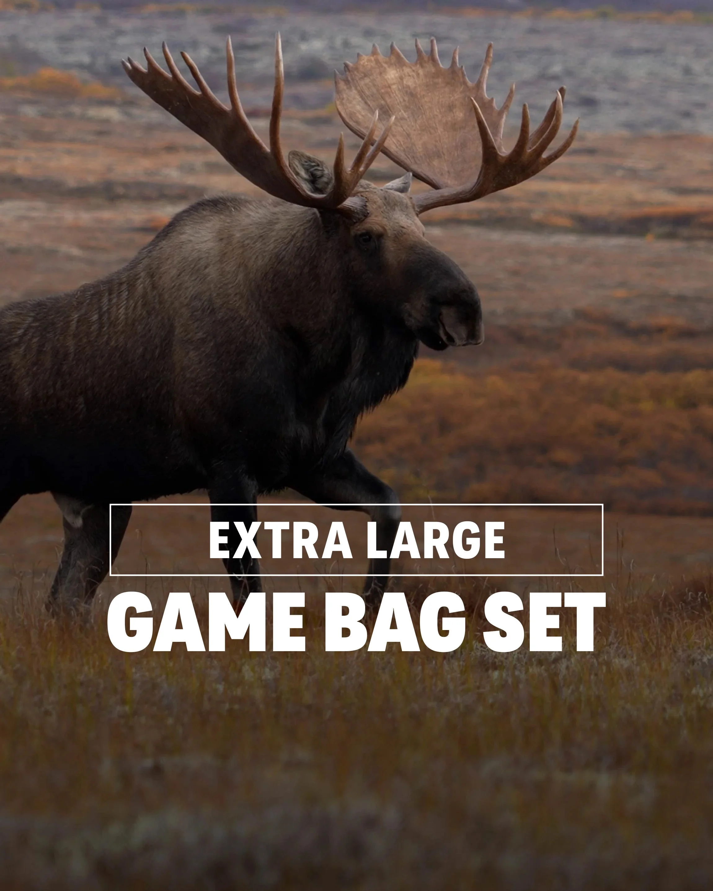 Alternative view of Moose/Bison XL Game Bag Set | White-Orange